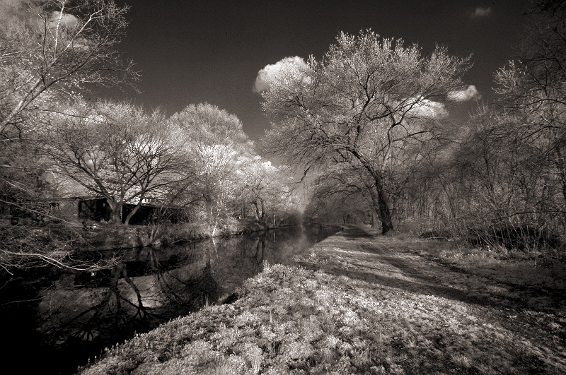 Along the Canal Schuylkill River Canal, Montclair, PA � Dave Hickey